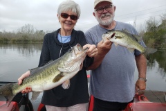 Harris Chain Bass Fishing Charters